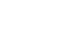 LogoKroneWeiss